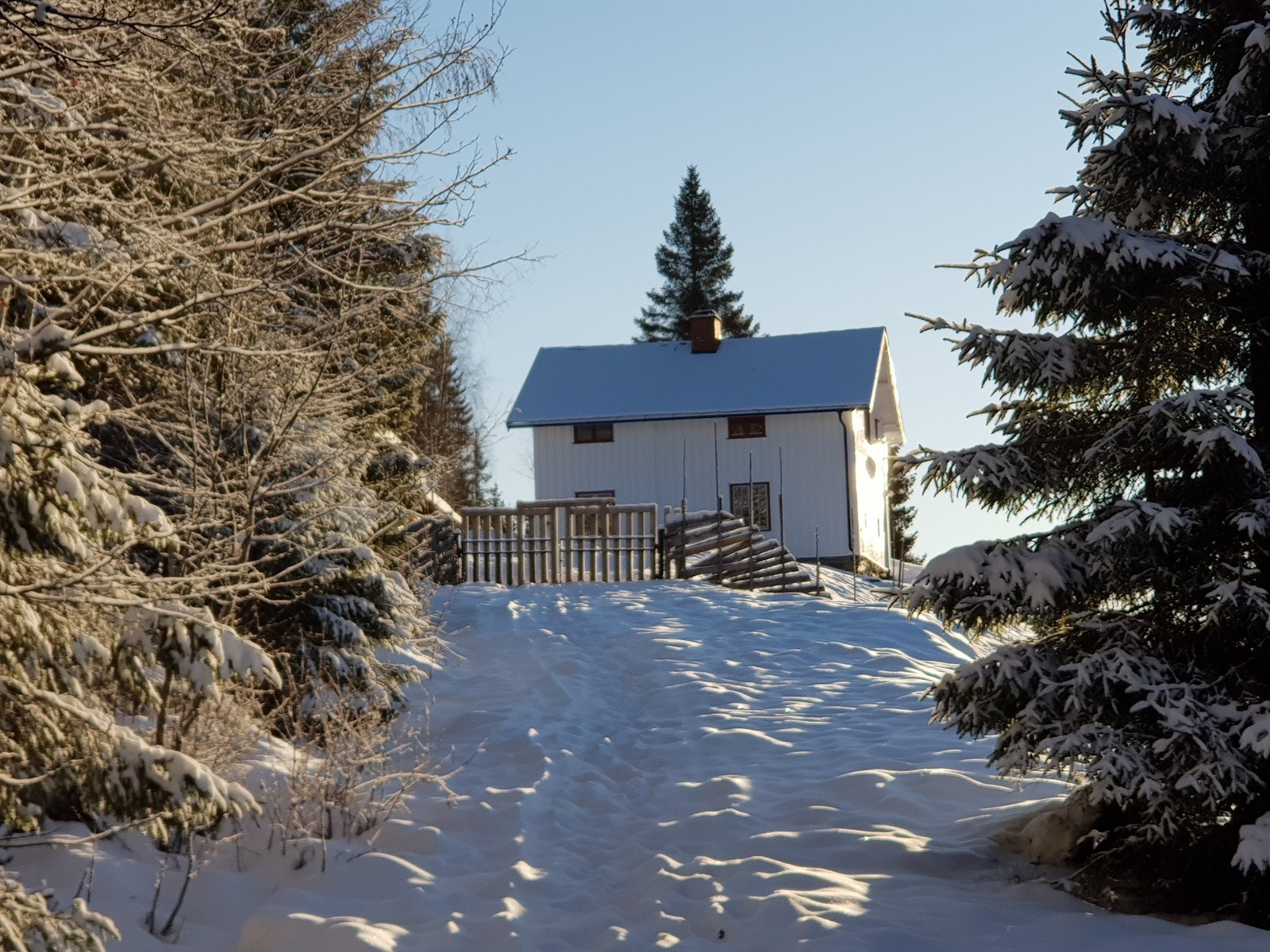 Haugland vinter Galleribilde