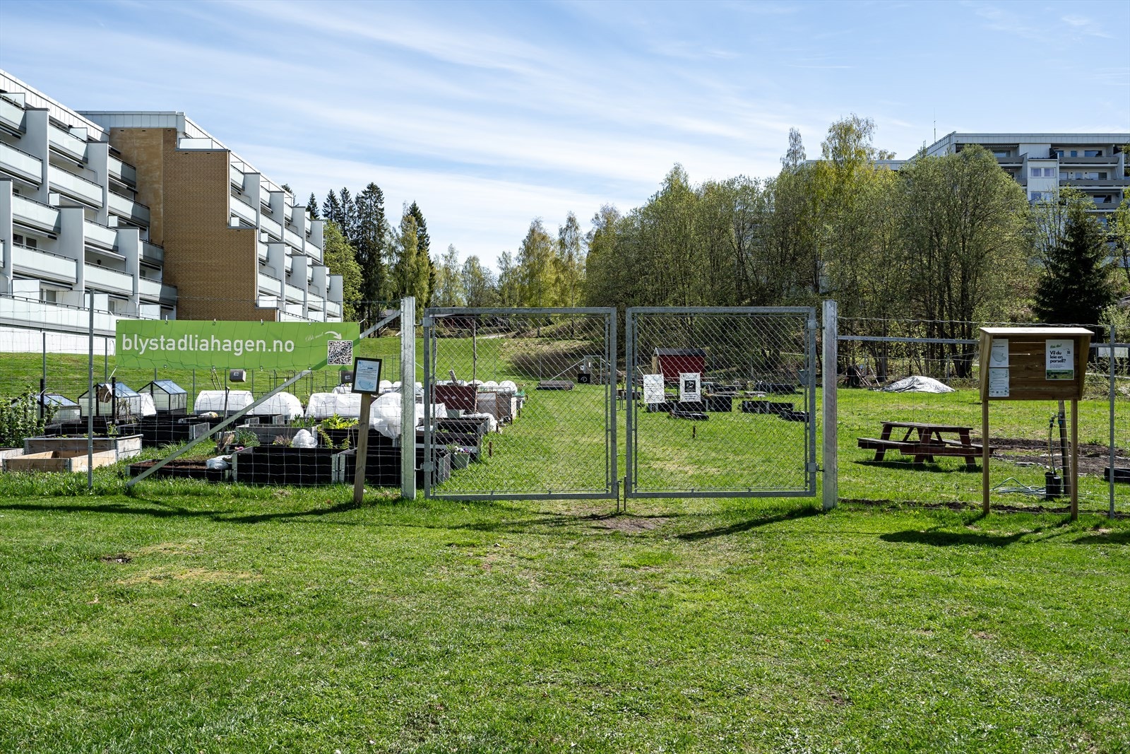 objpict_662558834959361_0.jpg Galleribilde