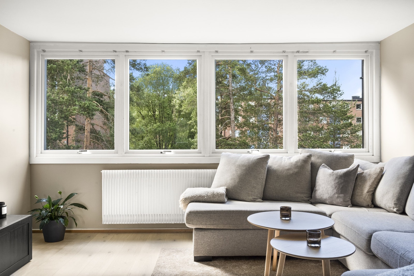 Store vindusflater bidrar til rikelig med lysinnslipp, og skaper en lys og behagelig atmosfære. Galleribilde