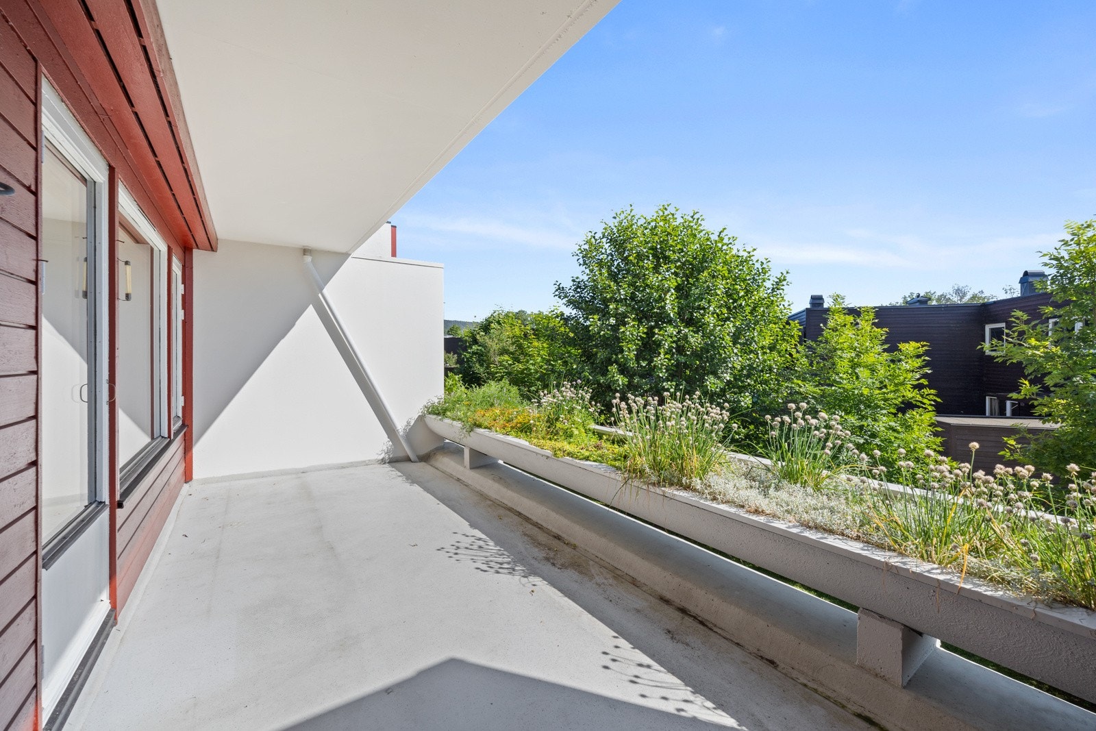 Her er det gode solforhold! Galleribilde