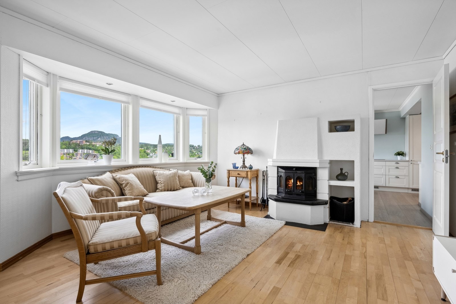 Peisovn. Galleribilde