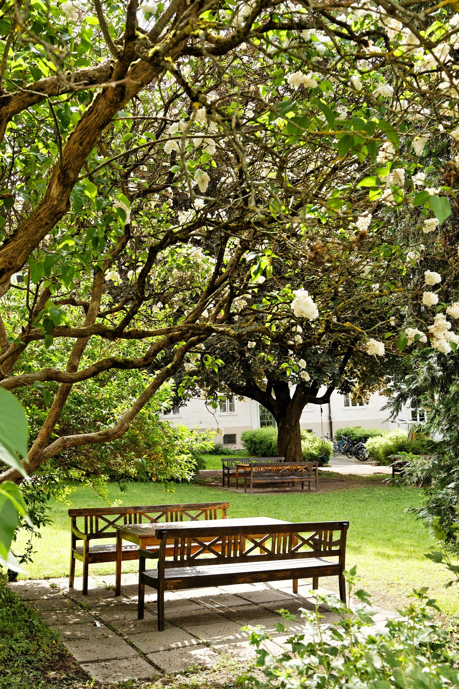 På Lindern lever du i stille og grønne omgivelser, men med alt du behøver i nærheten. Galleribilde