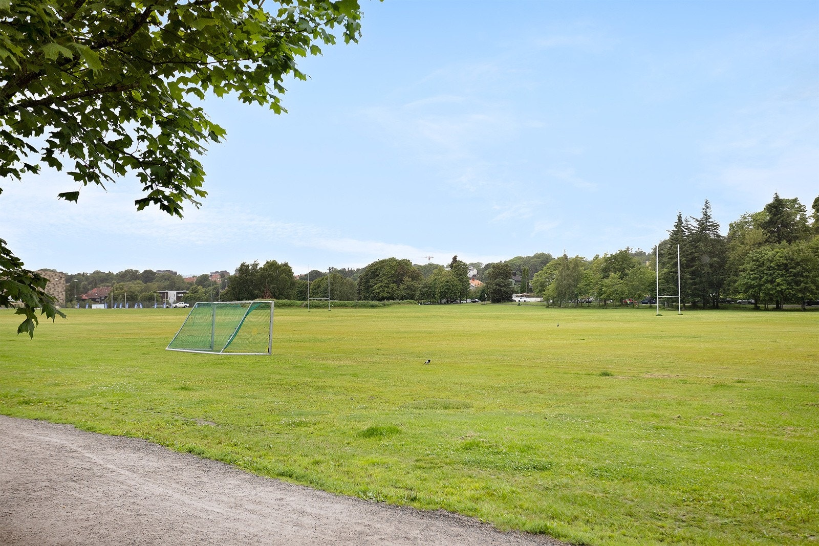 Voldsløkka idrettspark rett utenfor døren. Galleribilde