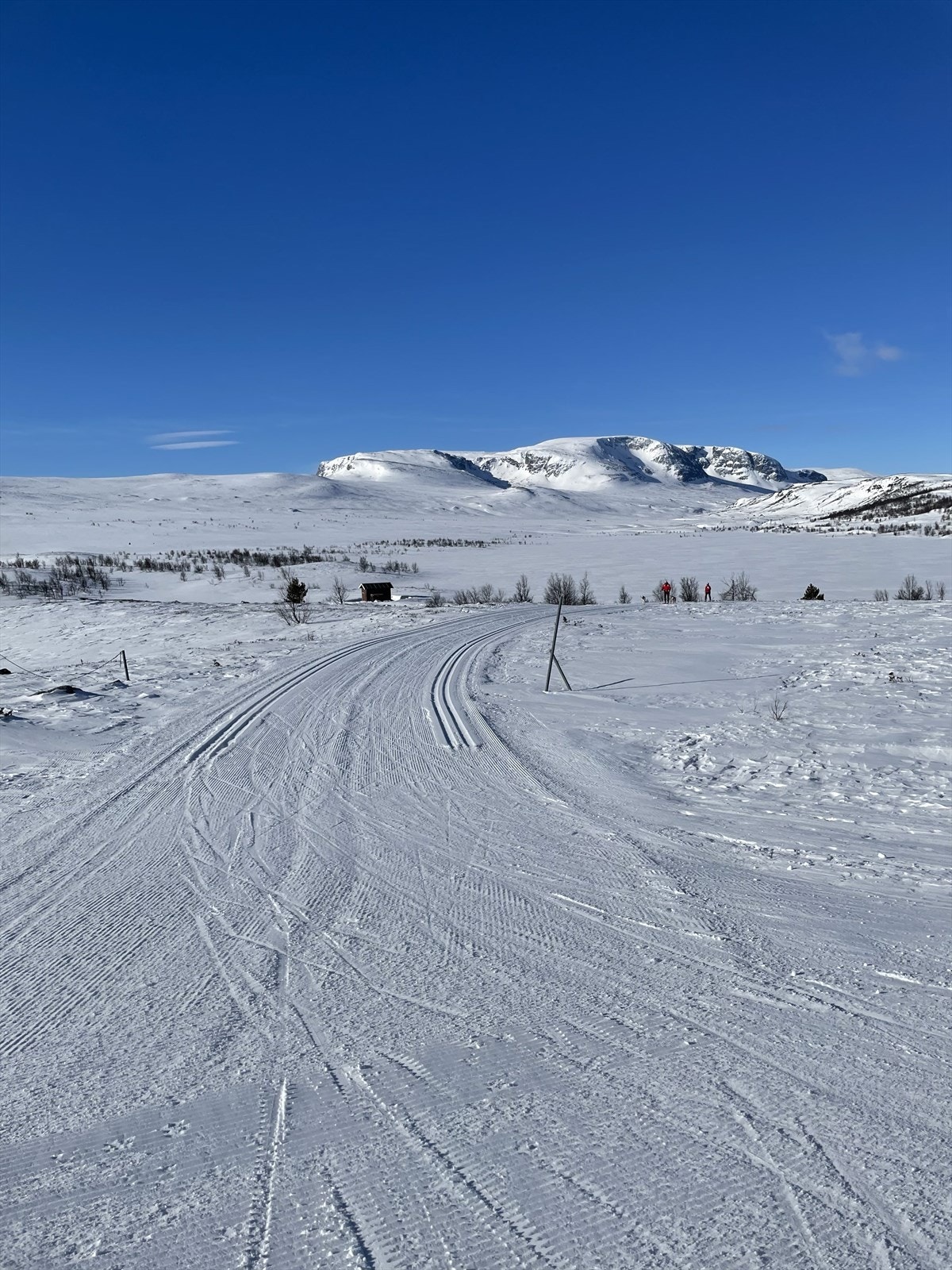Budalen - selgers foto Galleribilde