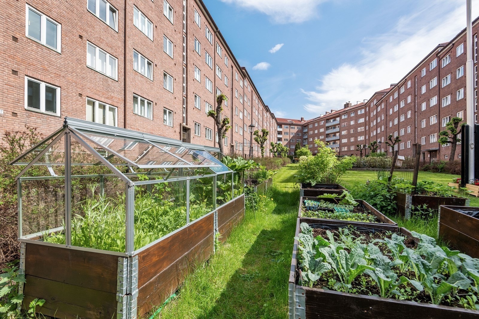 Borettslagets områder er hyggelig hagemessig opparbeidet og fungerer som en park for beboerne - sittegrupper, grill, trær og planter. Galleribilde
