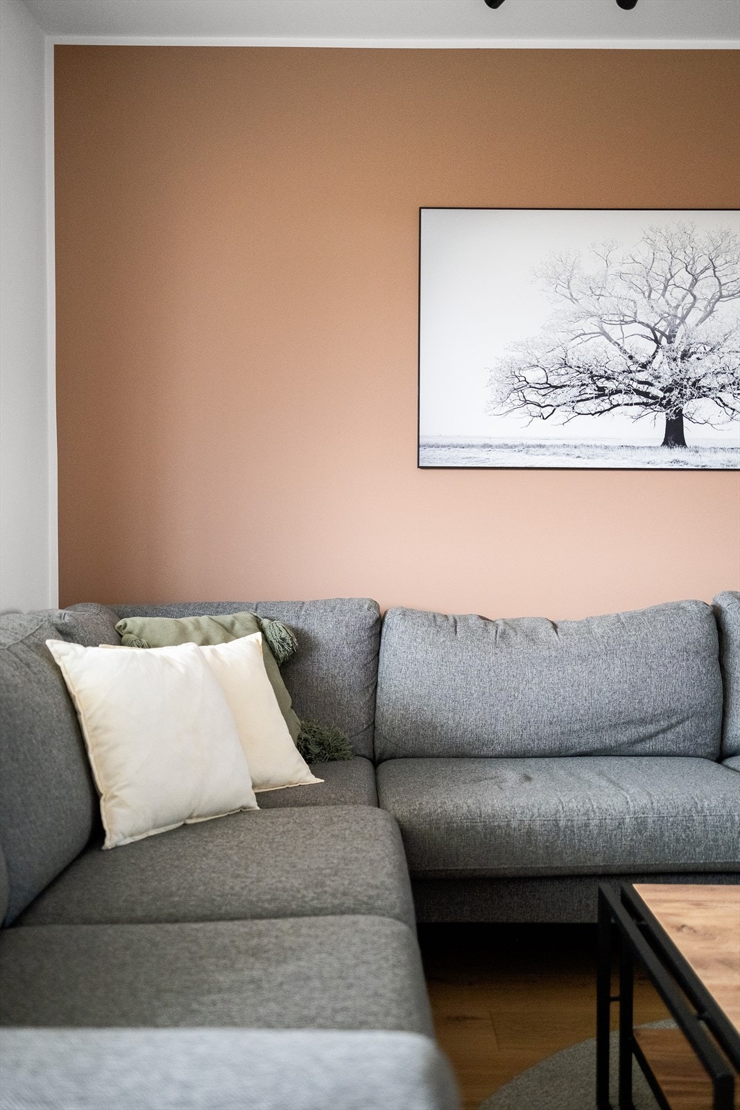 Varmtvann, fyring, TV og internett inkludert i felleskostandene. Galleribilde