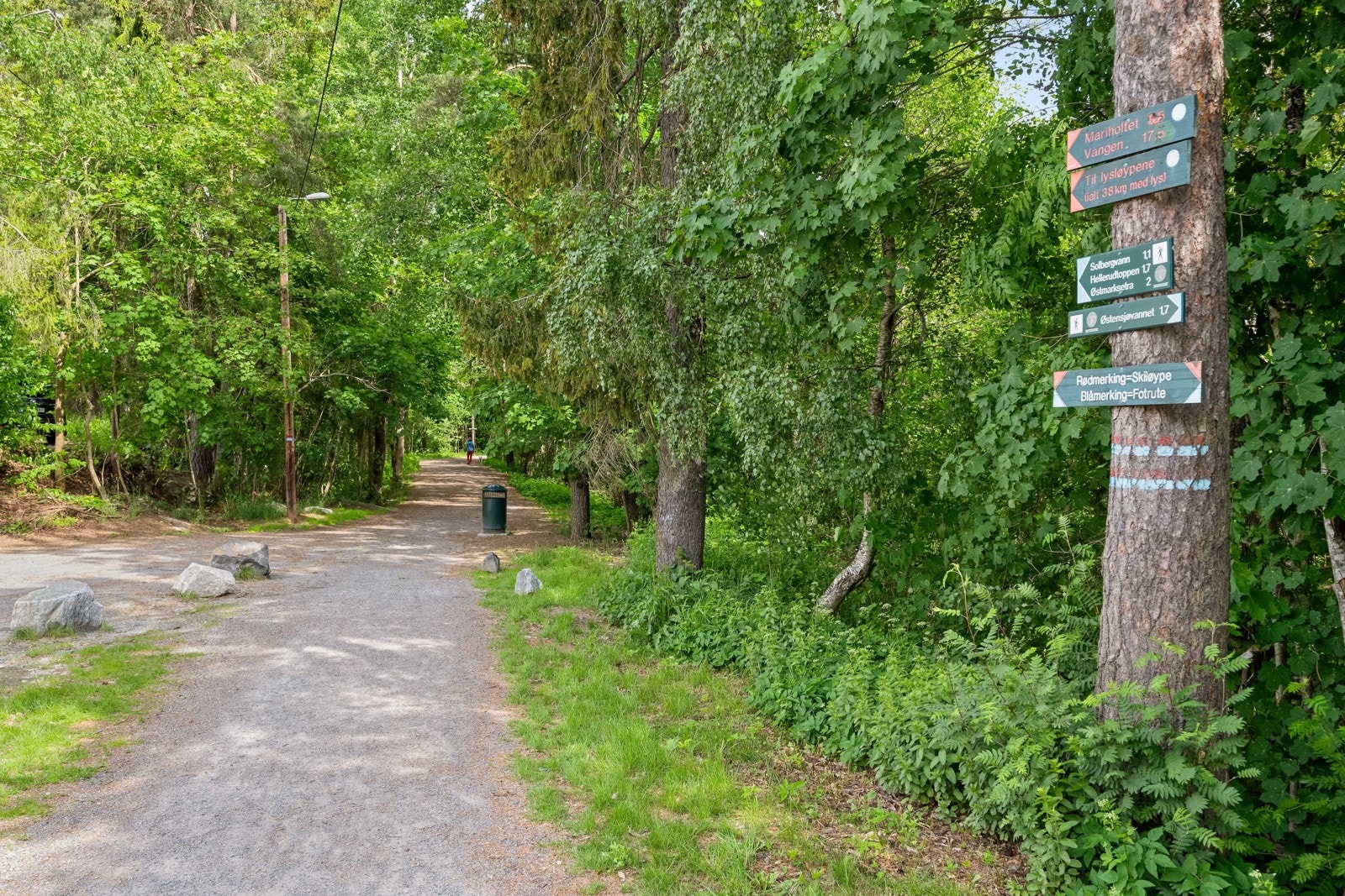For barnefamilien er dette en super beliggenhet med umiddelbar nærhet til idylliske Østmarka Galleribilde