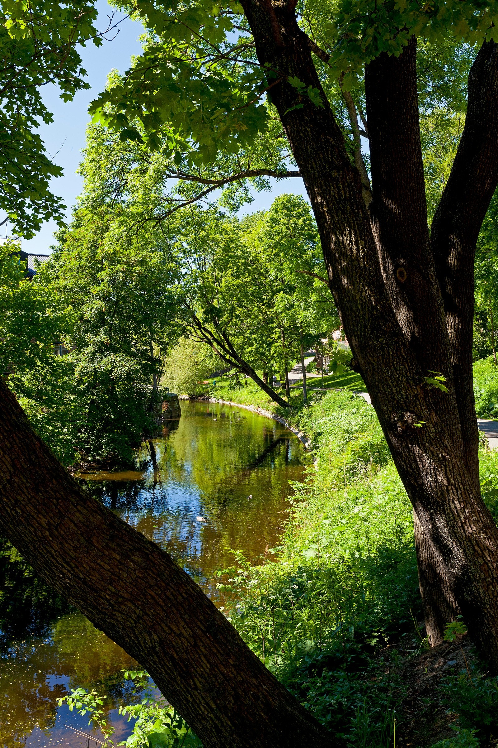 Akerselva starter ved Maridalsvannet og går helt ned til Vaterland i Oslo sentrum Galleribilde