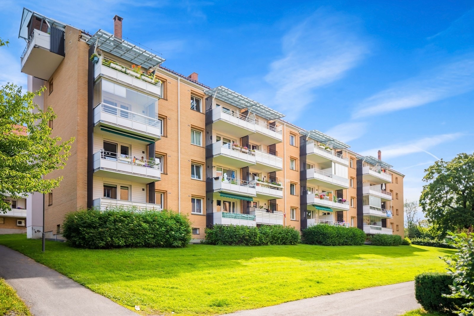 Krembeliggenhet på beste Hovin! Galleribilde