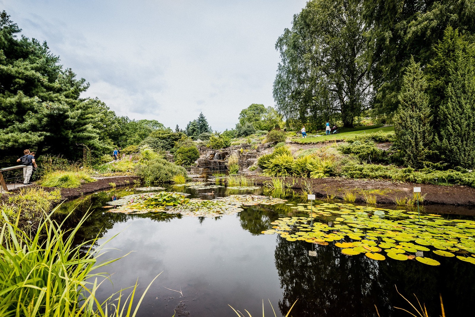 Anerkjente Botaniske Hage ligger like rundt hjørnet. Galleribilde