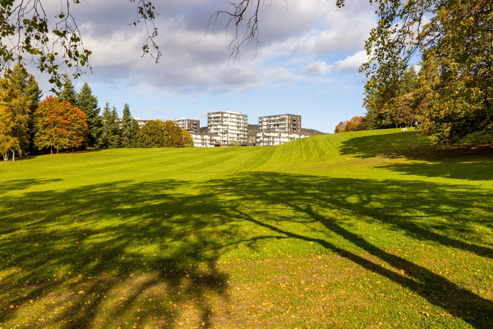 Idylliske Torshovdalen ligger like utenfor døren. Galleribilde