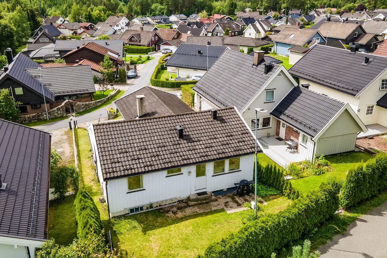 Stille og rolig omgivelser i nærområdet Galleribilde