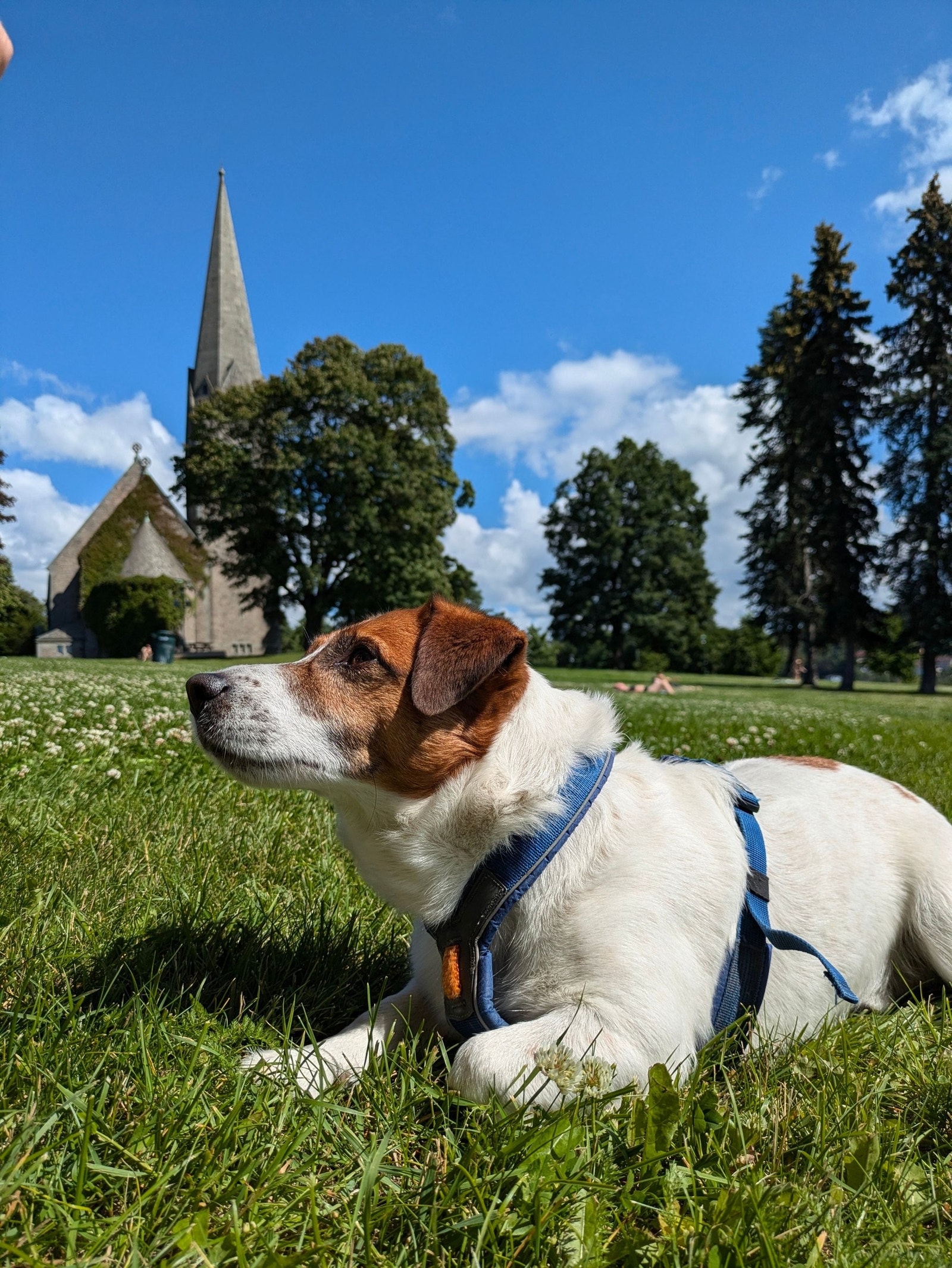 En av de mange nærliggende parkene; Vakre Vålerenga kirke og park (og Marve) Galleribilde