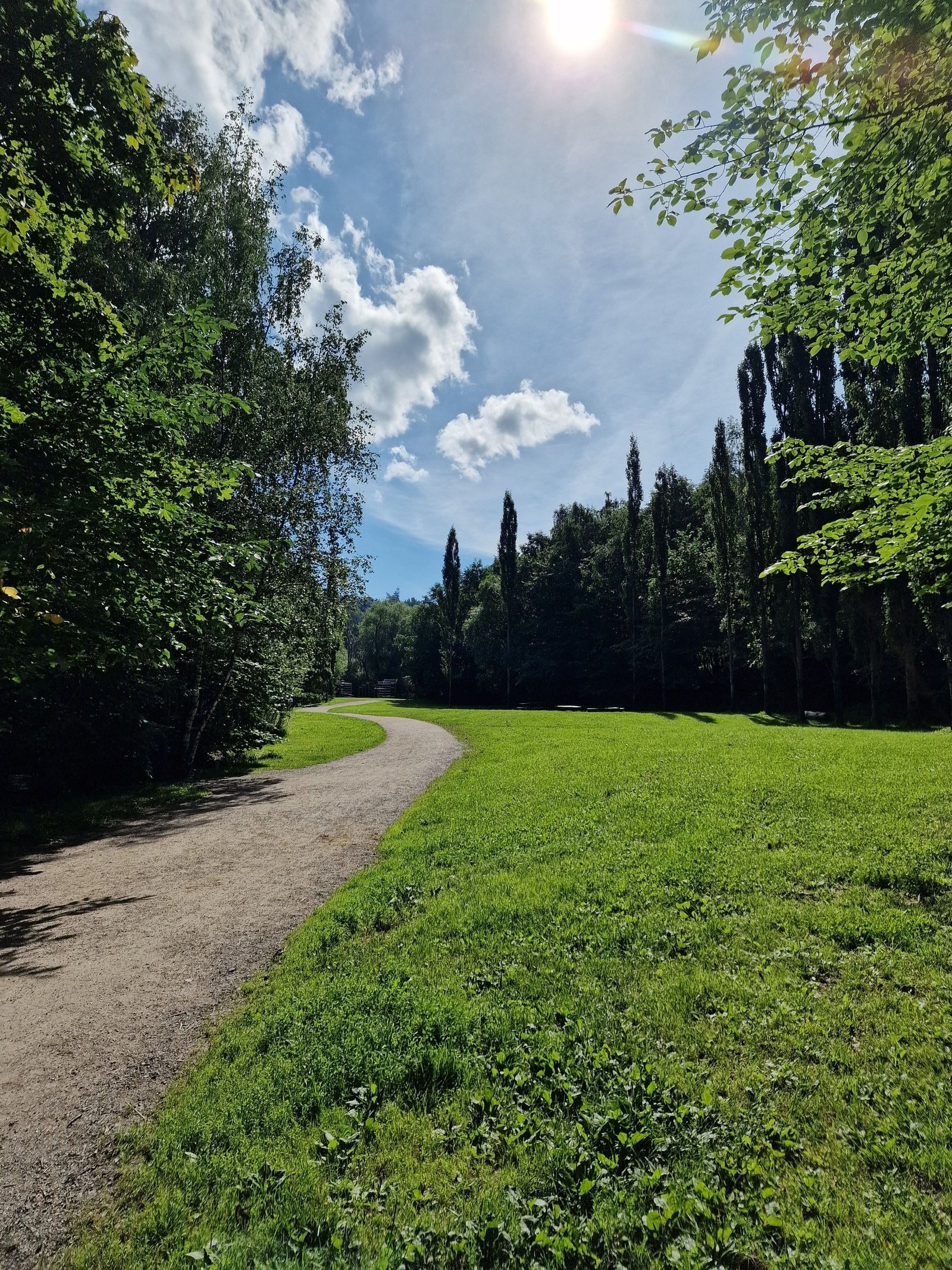 Kort avstand til Svartdalsparken og Oslos eneste urskog; Svartdalskogen Galleribilde