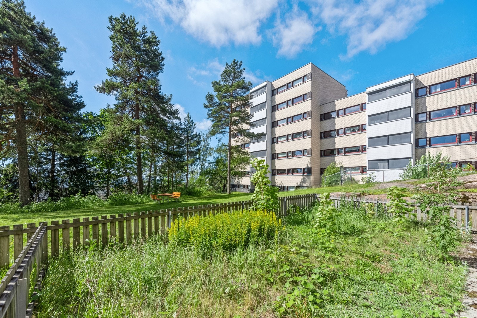 Gode solforhold. Galleribilde