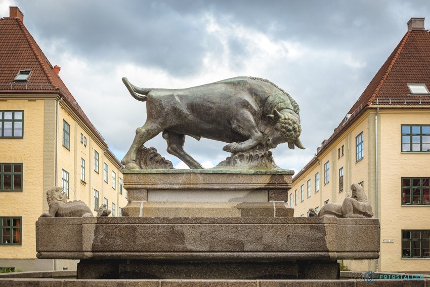 Den ikonsike Oksefontenen på Hegermanns plass er et landemerke på Torshov. Galleribilde