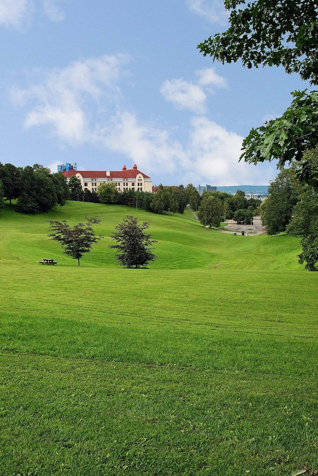 Kort vei til rekreasjonsmuligheter i Torshovdalen. Galleribilde