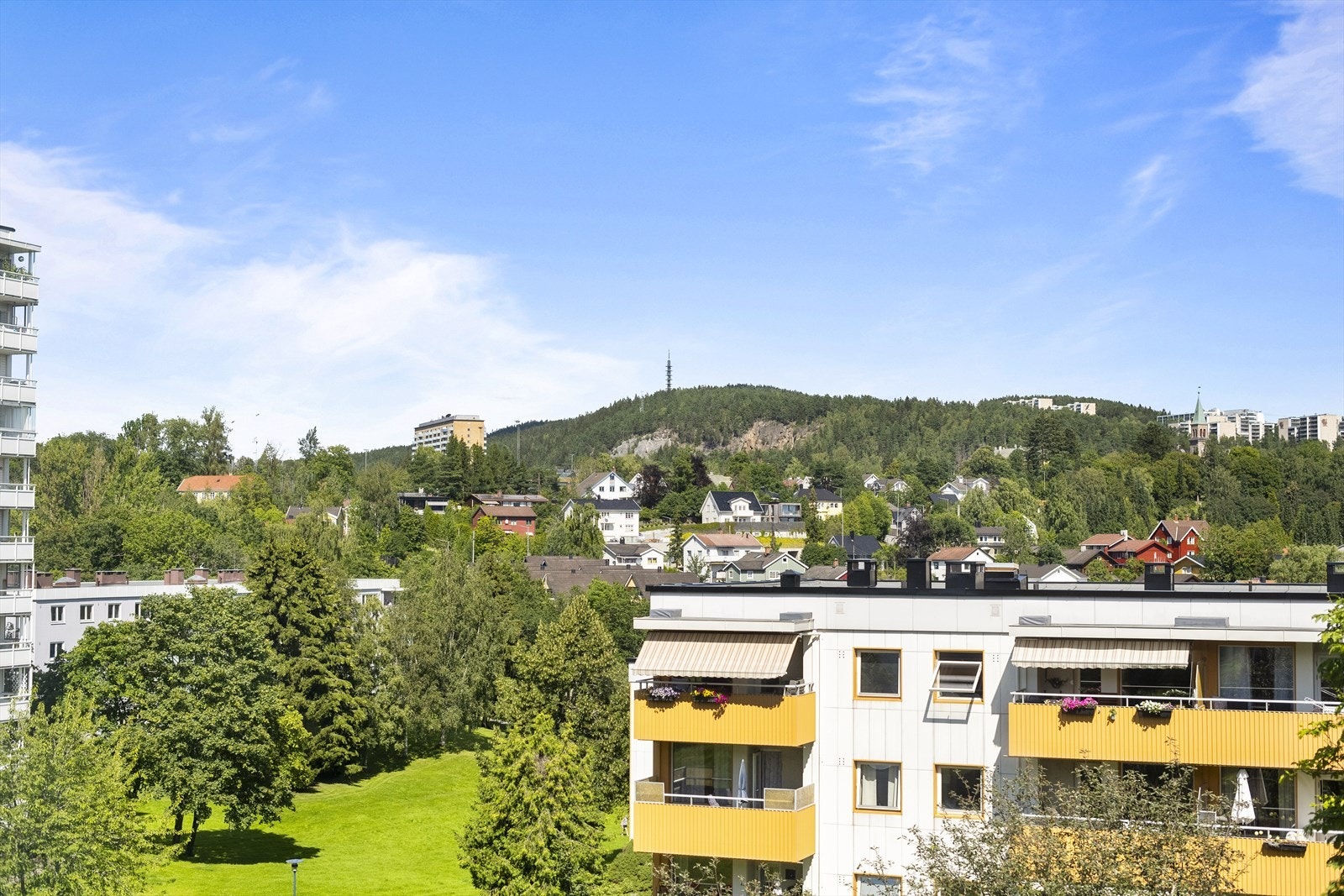 Flotte grøntområder i nærheten. Galleribilde