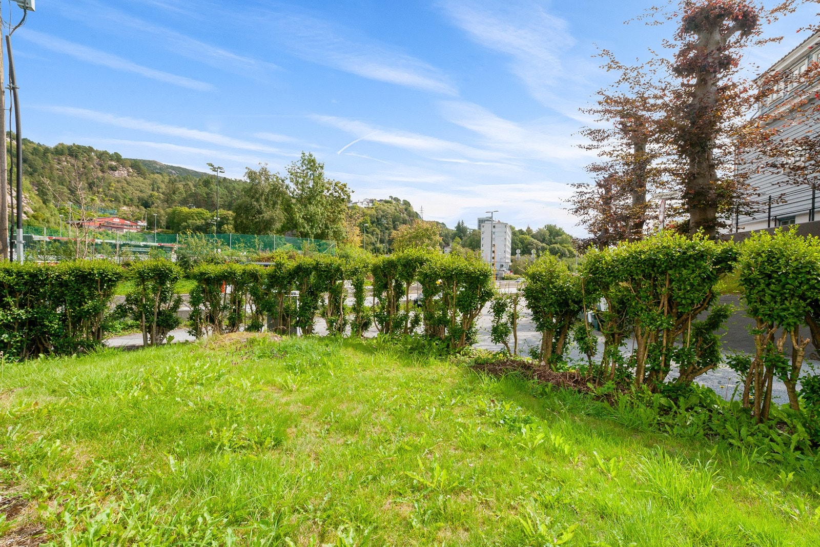 Hagen er innrammet med hekk og ppparbeidet med plen Galleribilde