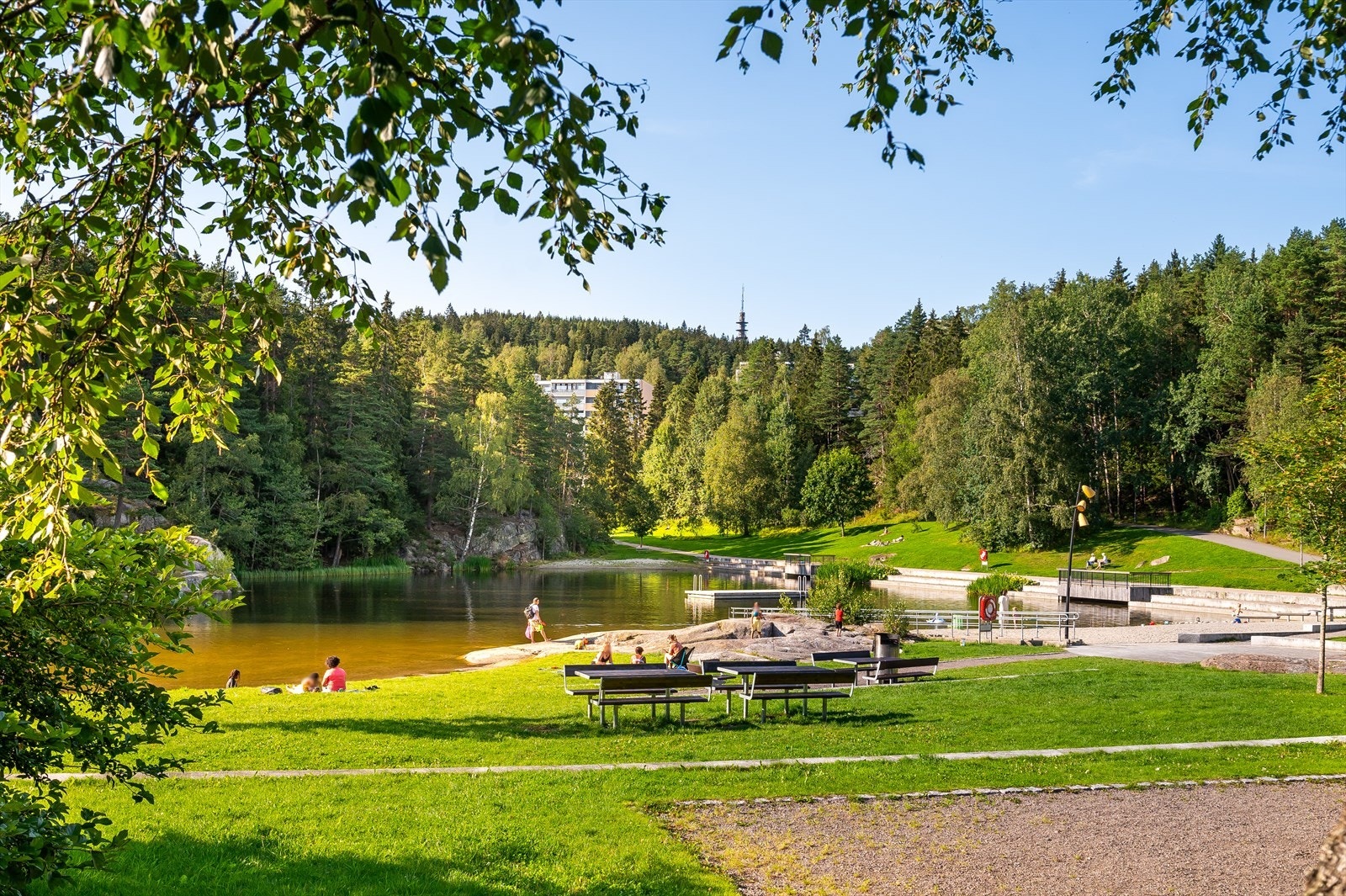 Nærområde. Galleribilde