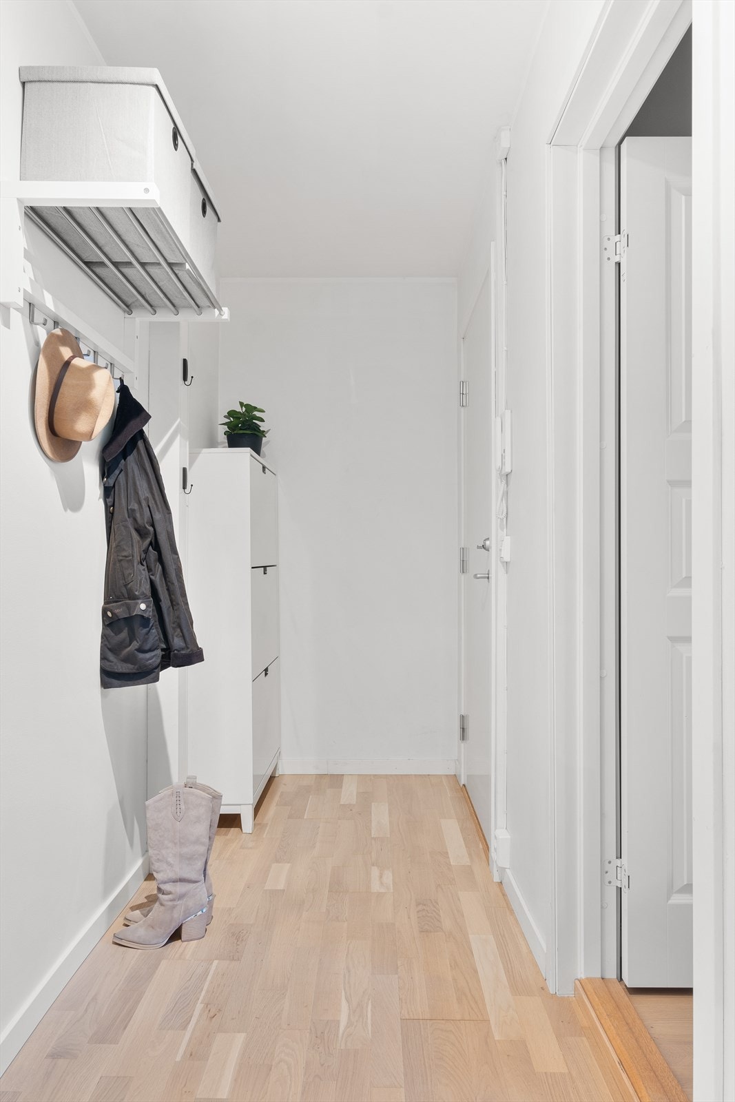 God plass til sko og yttertøy. Galleribilde