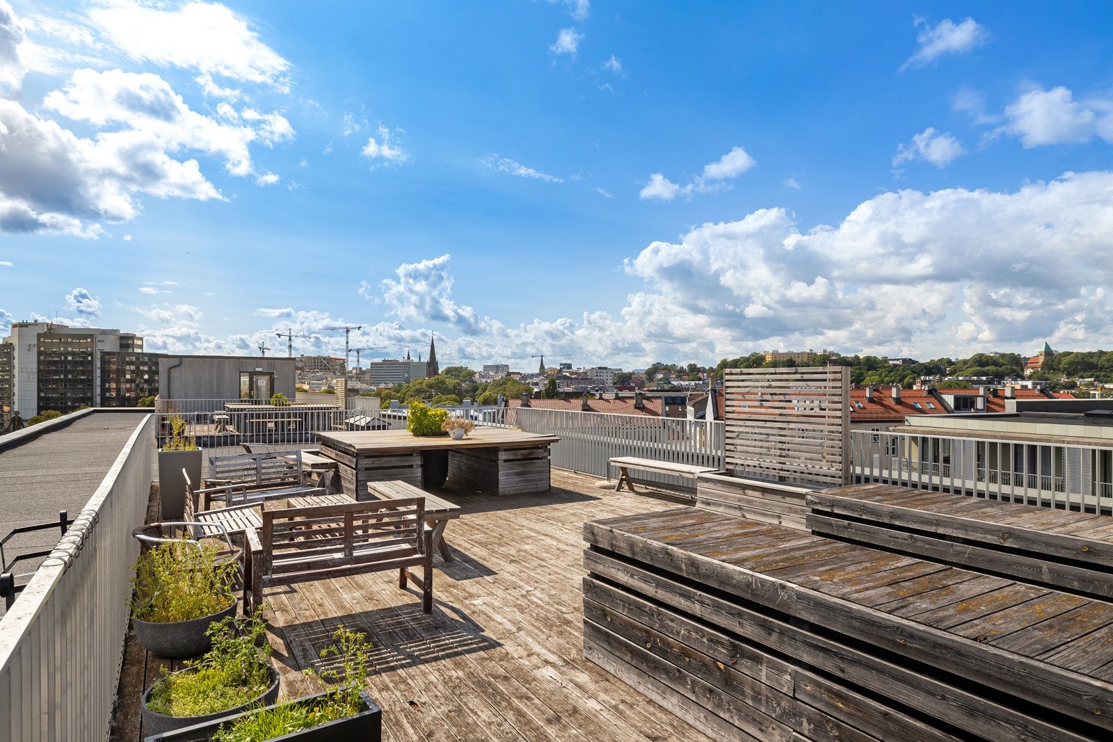 Felles takterrasse. Galleribilde