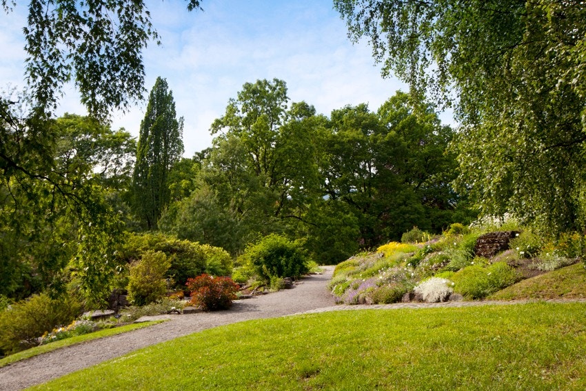 Botanisk Hage er også en populær attraksjon i nabolaget for å lufte kropp og sinn. Her finner du over 4500 planteslag fra hele verden. Galleribilde