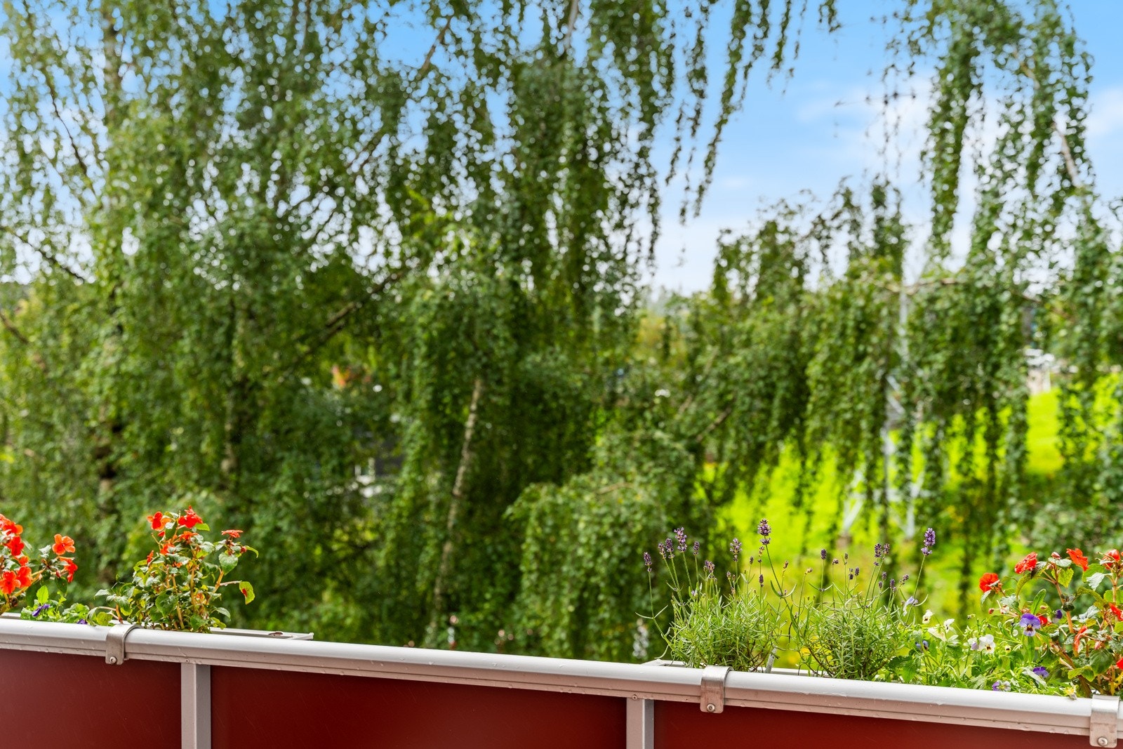 Naturskjønt og behagelig utsyn fra balkongen. Galleribilde
