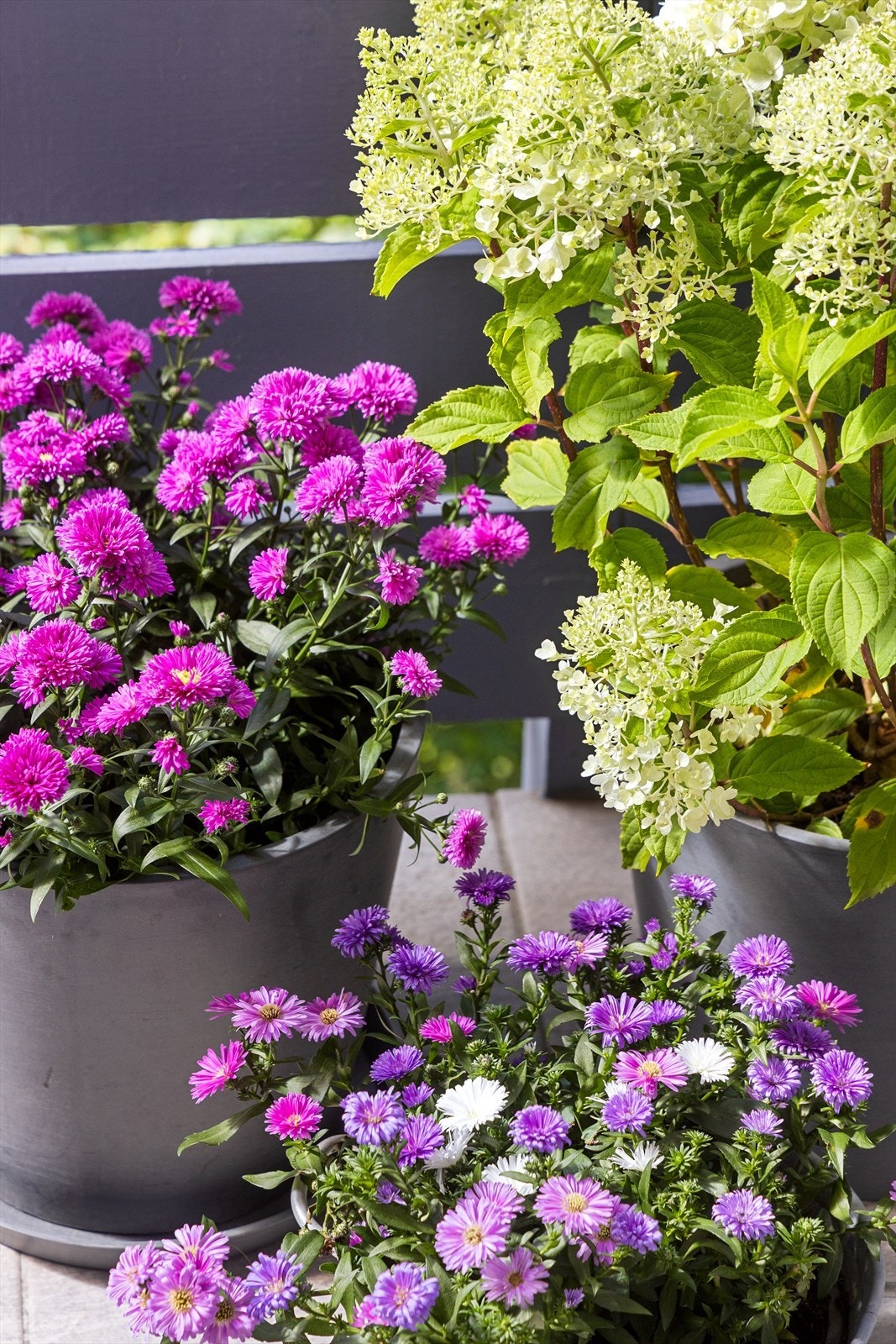 Den solrike balkongen gir gode vekstforhold for planter og urter i sommerhalvåret. Galleribilde