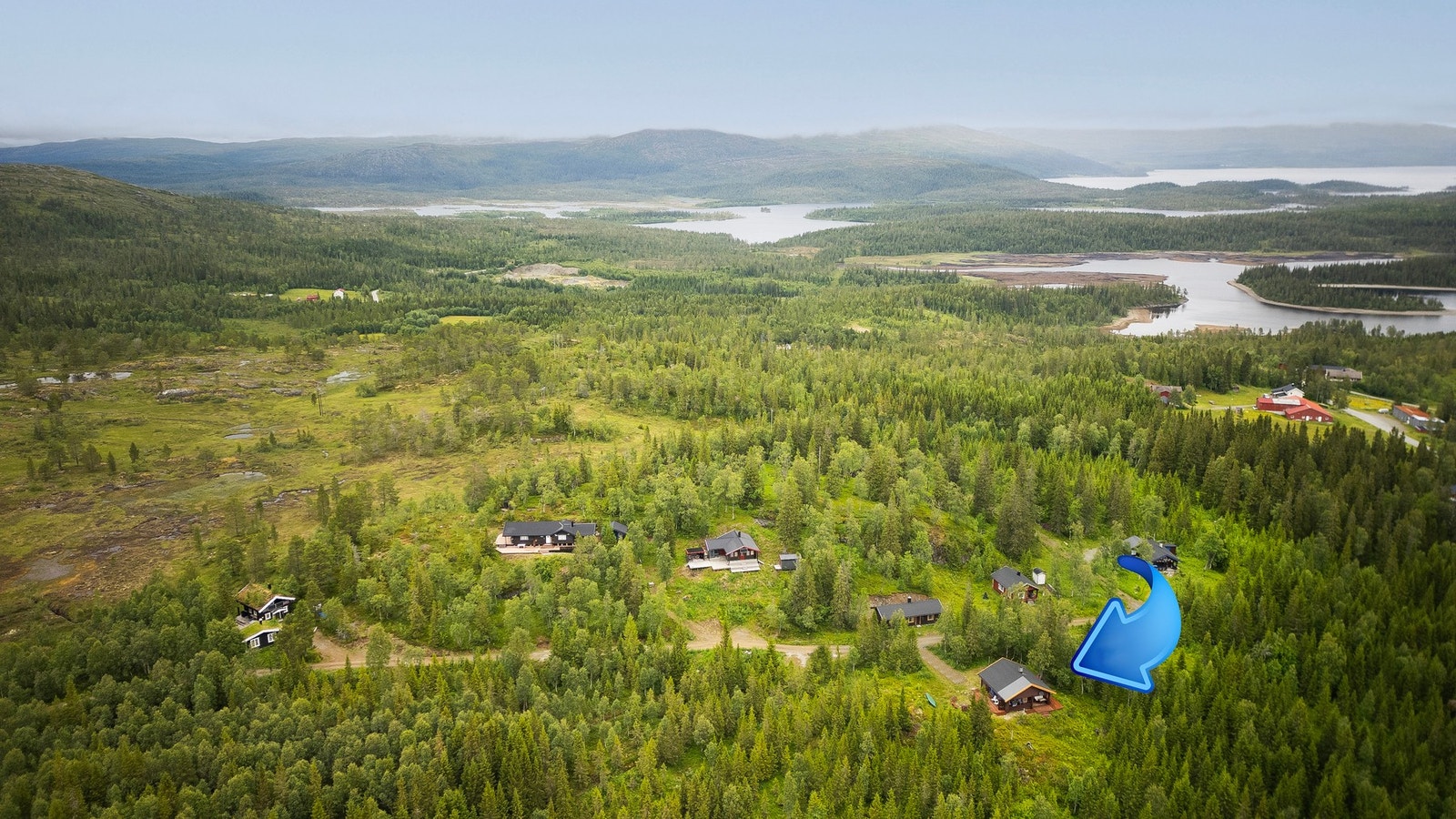 Dronebilde over nærområdet. Galleribilde