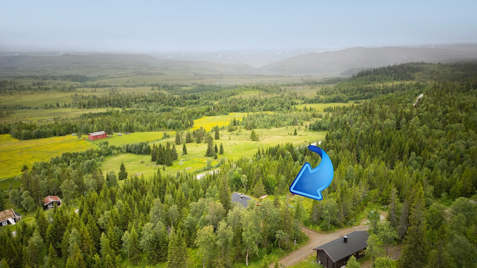 Dronebilde over nærområdet. Galleribilde