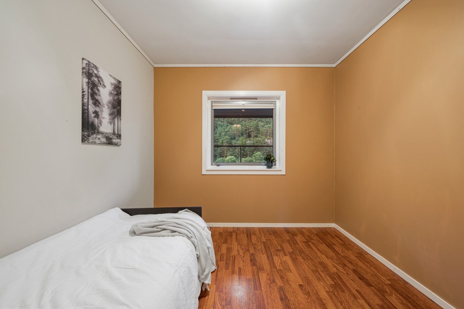 - Passer perfekt som barne- eller gjesterom - Galleribilde