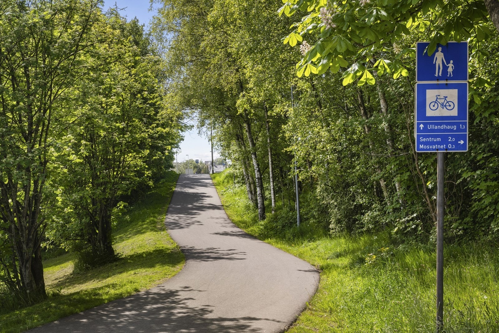 Nydelige turområder i umiddelbar nærhet. Galleribilde