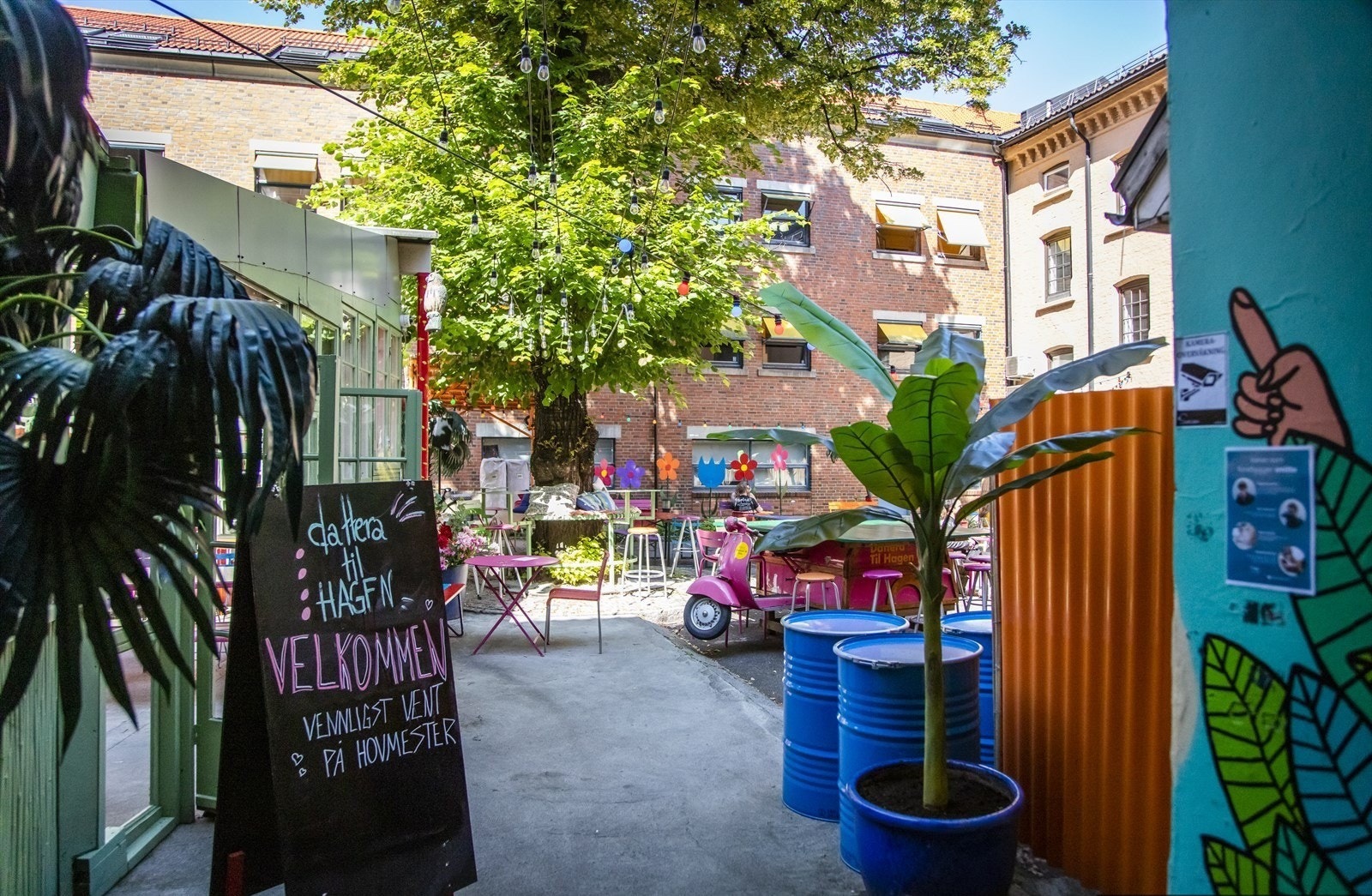 Uteliv og hage Galleribilde