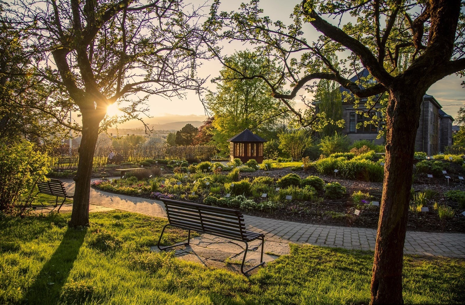 Kort vei unna leiligheten finner du idylliske park- og rekreasjonsområder som Botanisk Hage og Tøyenparken som begge er verdt gjentatte besøk gjennom året. Galleribilde
