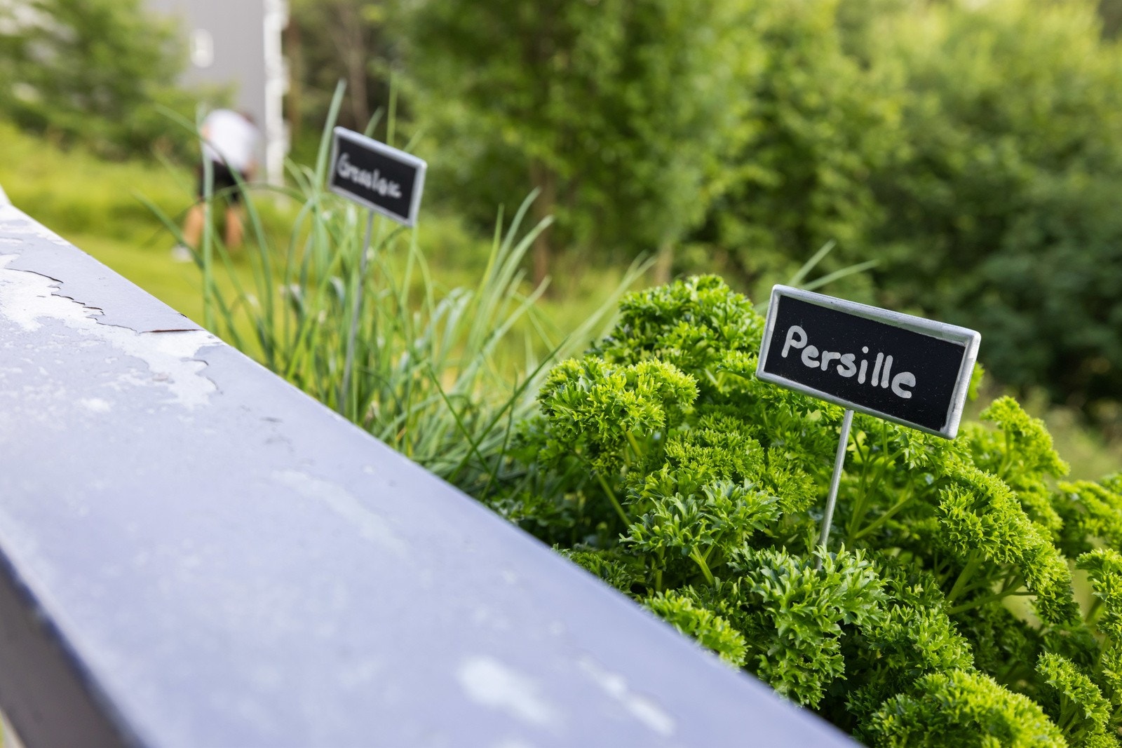 Plantekasse på balkongen med diverse urter og beplantning. Galleribilde