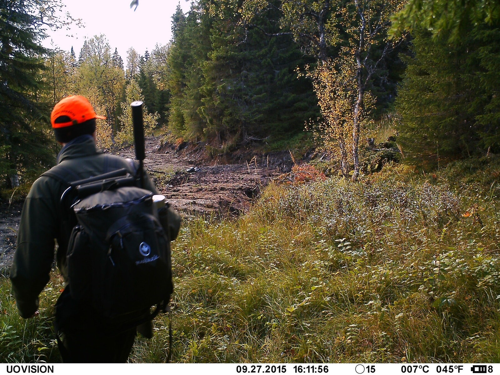 Jakt i flott terreng. Galleribilde