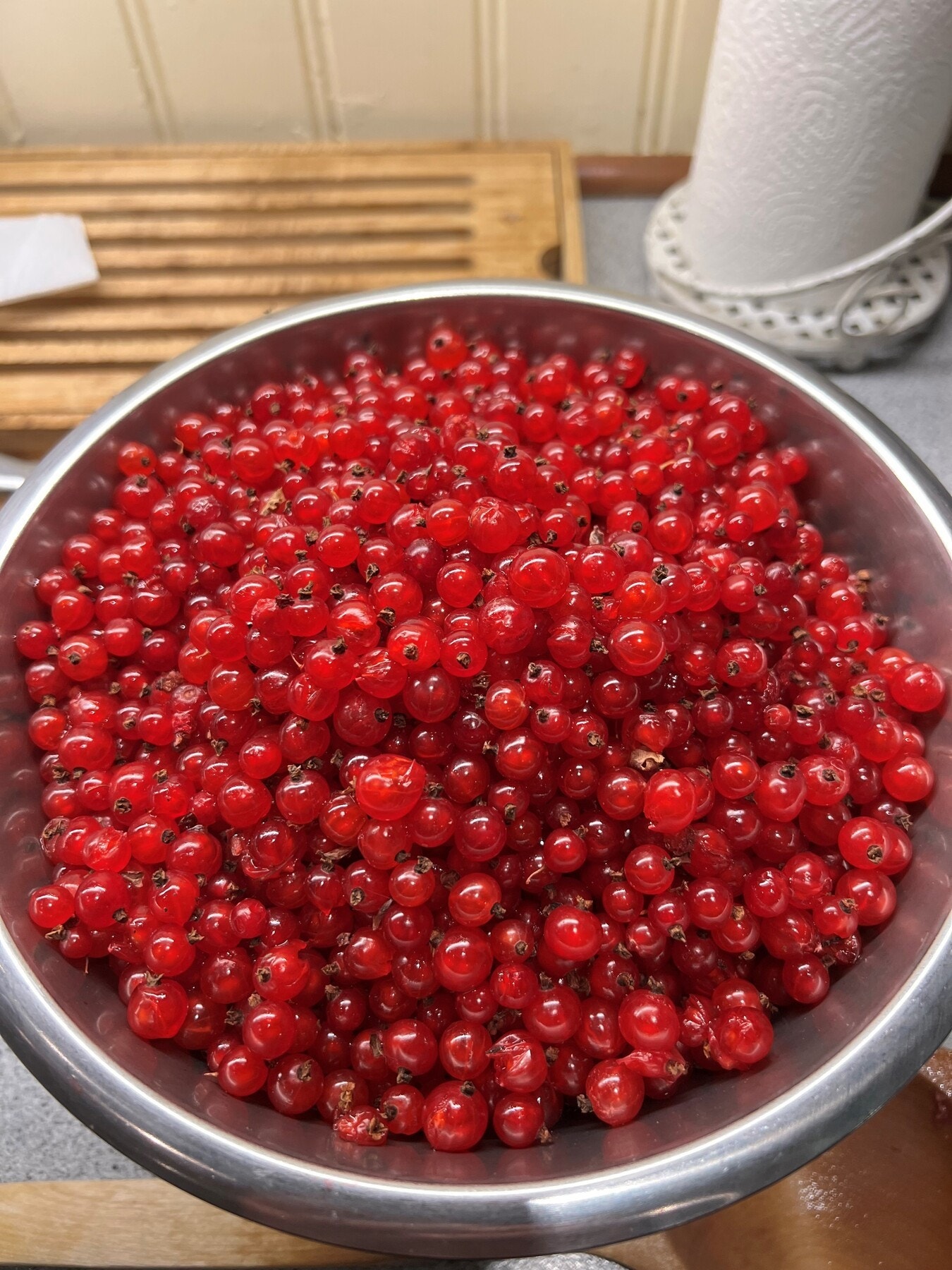 Rips fra egen hage. Galleribilde