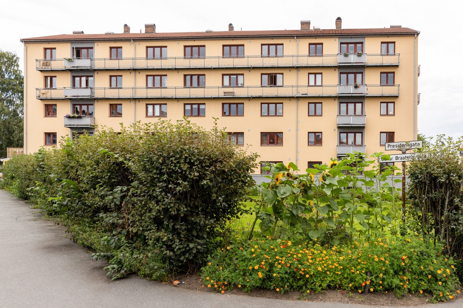 Presidentgata boretttslag er en populær og veldriftet gård med god vedlikeholdshistorikk. Galleribilde
