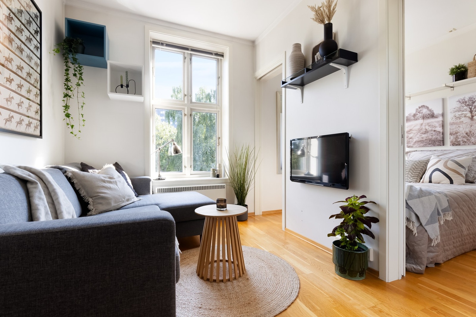 I stuen er det fin plass til sofa og TV. Galleribilde