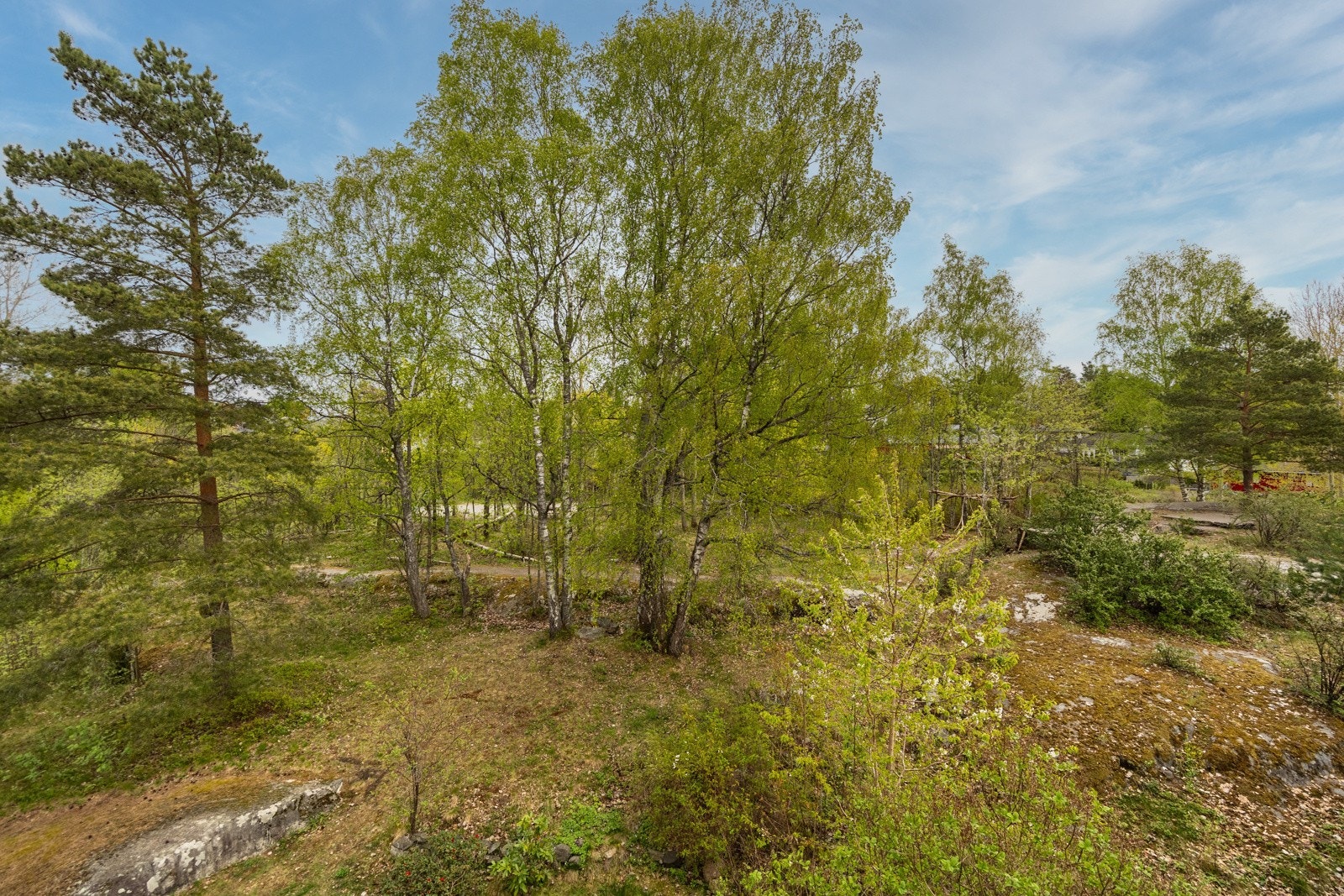Områdebilde. Galleribilde
