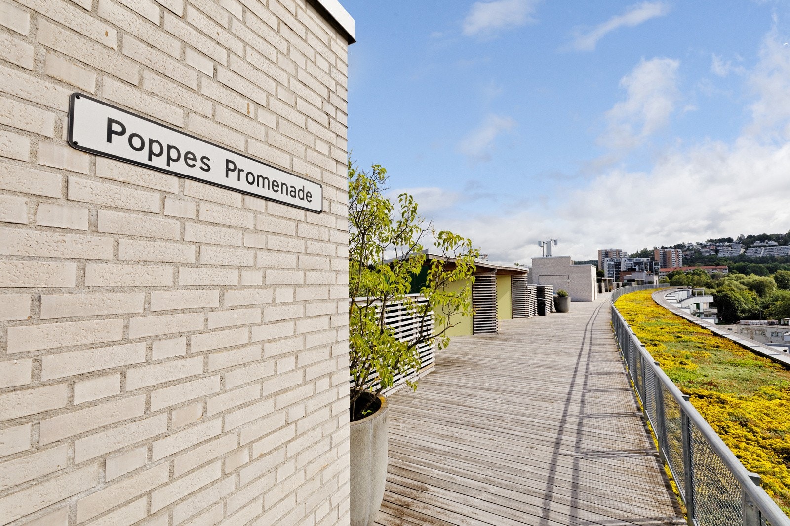 Nydelig takterrasse for beboere med direkte adkomst via heis fra leilighetsplan Galleribilde