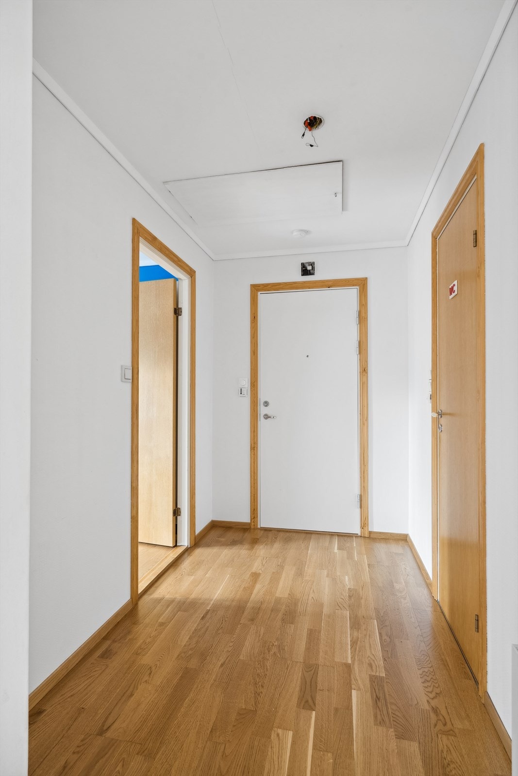 Velkommen inn! Lagringsmuligheter på loft. Galleribilde