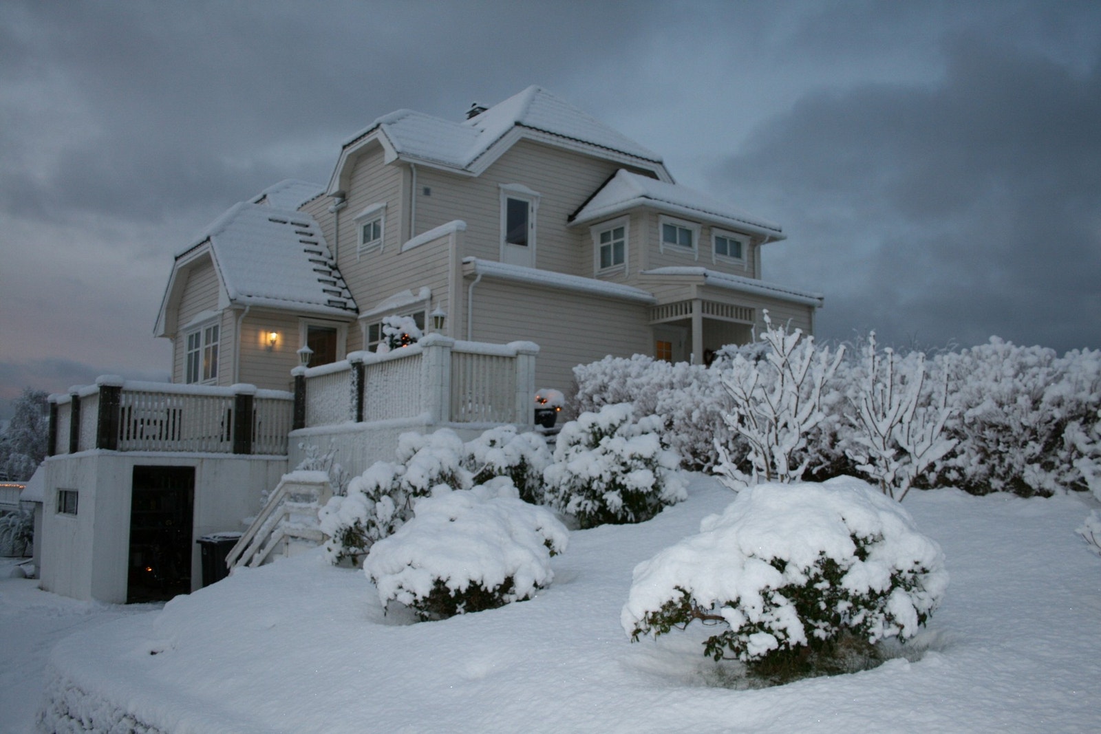 Bilde fra selger. Galleribilde