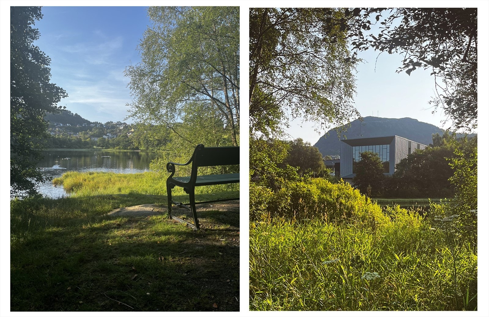 Flotte turmuligheter ved Ortuvannet Galleribilde