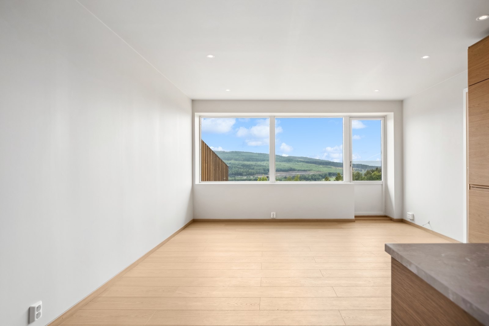 Stue og kjøkken i åpen løsning Galleribilde