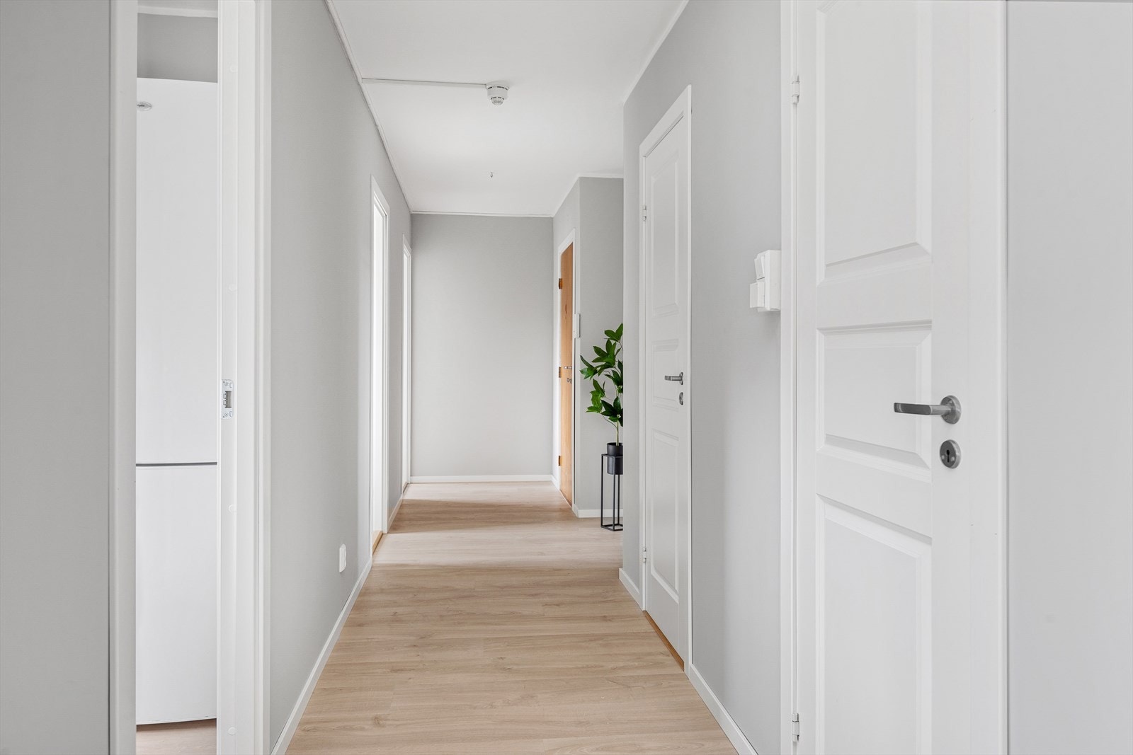 Leiligheten har en romslig planløsning med stor stue, kjøkken, bad, wc og to soverom Galleribilde