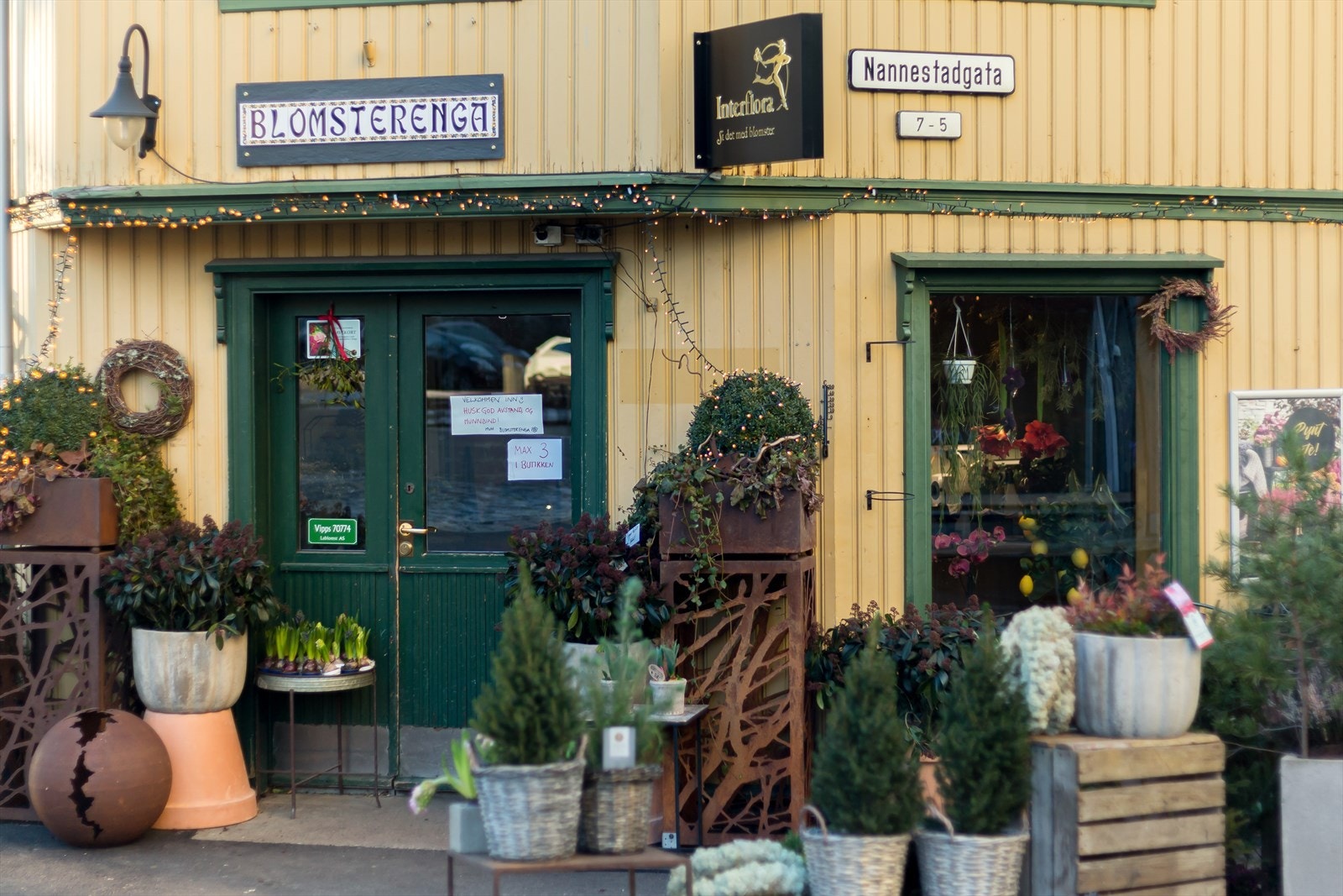 Nærområdet Galleribilde