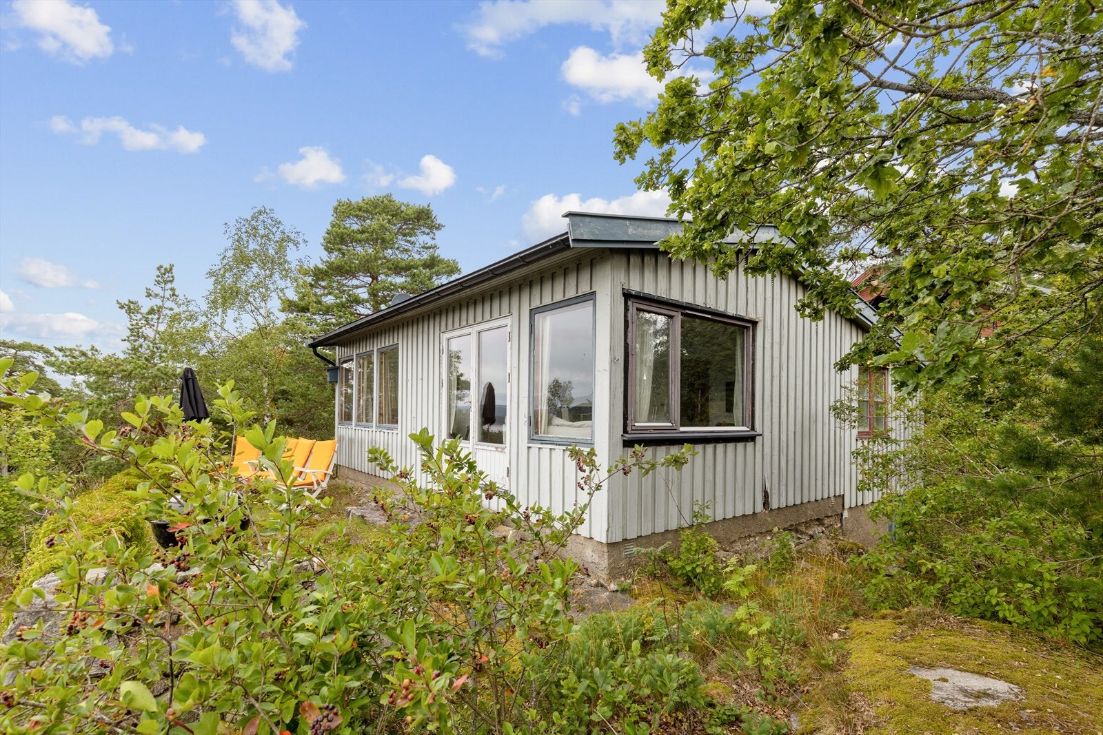 Kupert naturtomt med busker, trær og fjell i dagen Galleribilde