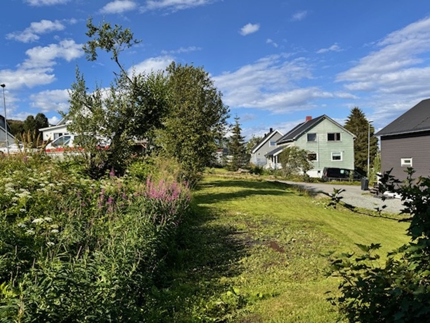 Tomten ligger nord på Tromsøya i området Stakkevollan/Skattøra. Galleribilde